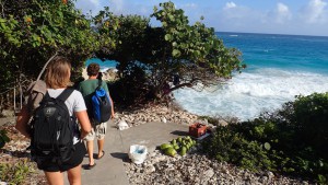 På vej til Chrane Beach - kokosnødder på stien