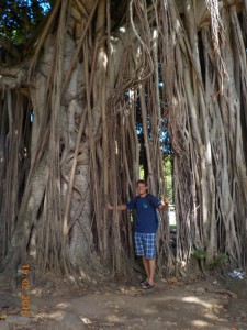 Martin ved træet, som Barbados er opkaldt efter